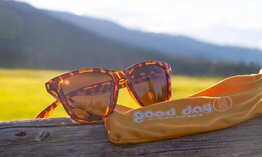 tortoise shell sunglasses with mountain background