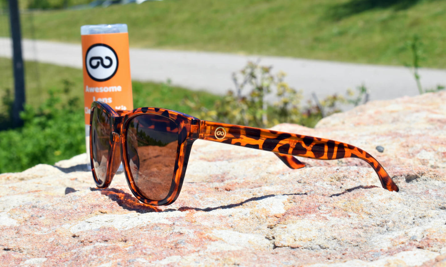 Good Day Sunglasses Tortoise Shell Sunshines--lifestyle view